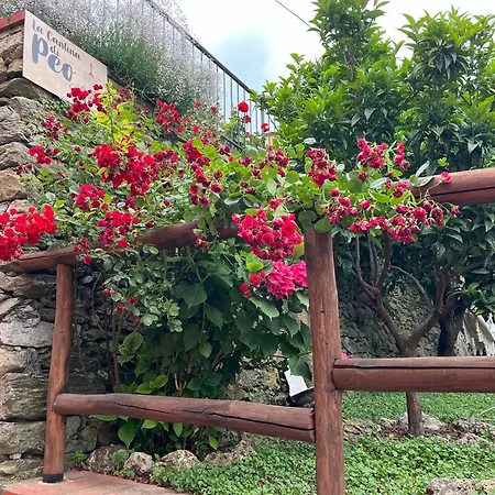 La Cantina Di Peo Lägenhet
